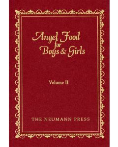 Angel Food for Boys and Girls Vol. 2 HC