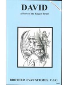 David: A Story of the King of Israel SC