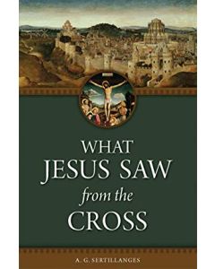 what jesus saw